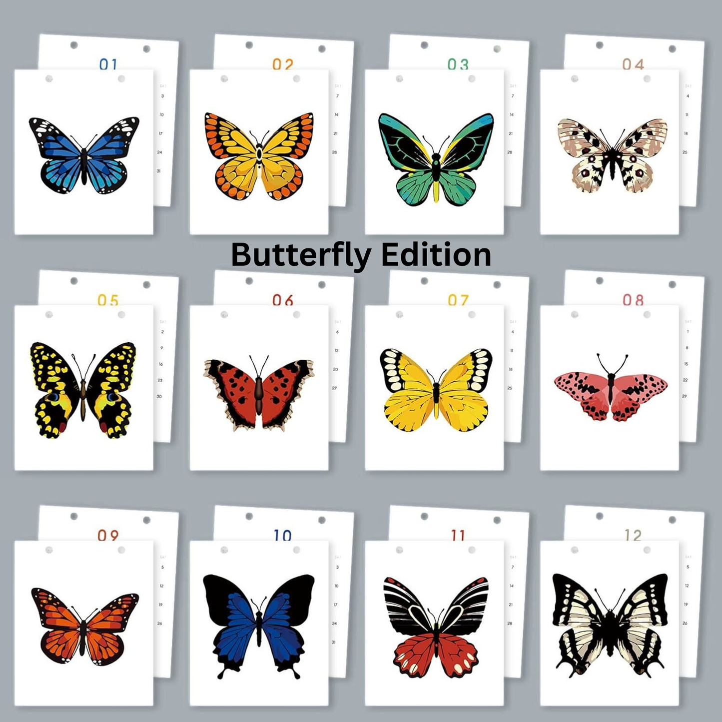 Paint Your Year - Malen nach Zahlen - Kalender